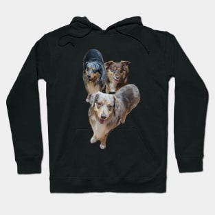 DOGGOS Hoodie